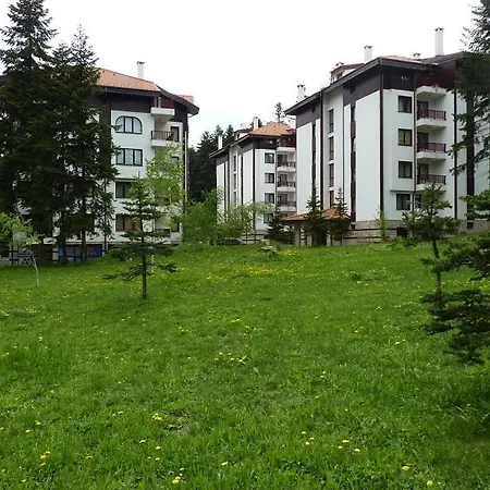 Spacious Two Bedroom In Flora Tulip 12